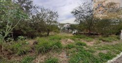 Lote cm 800 m, Esquina, Escriturado, Bem Localizado, Condomínio Ouro Vermelho II