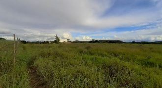 Lote com 2.000 m2, Capão Cumprido, Perto da Principal, Plano, Ac. Carro