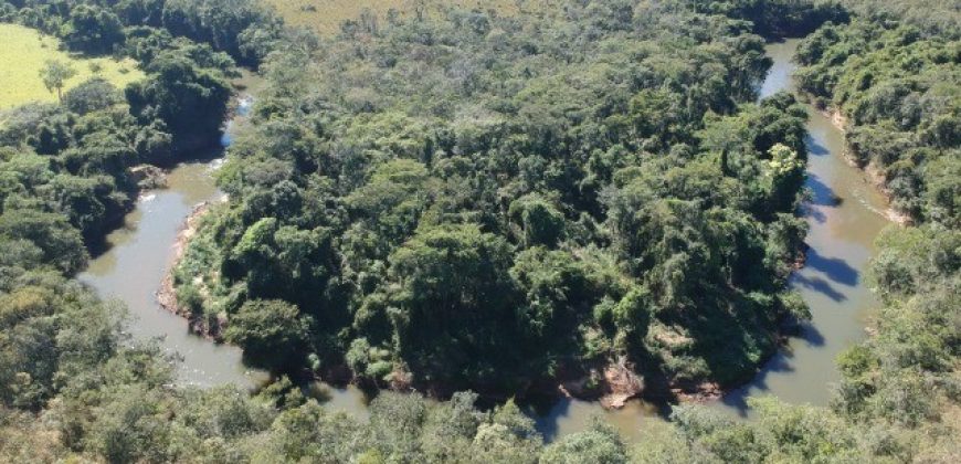 Maravilhosa Chácara com 7 Hectares, com Acesso ao Rio São Bartolomeu