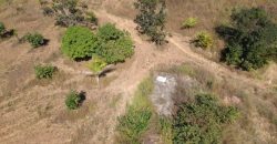 Maravilhosa Chácara com 7 Hectares, com Acesso ao Rio São Bartolomeu