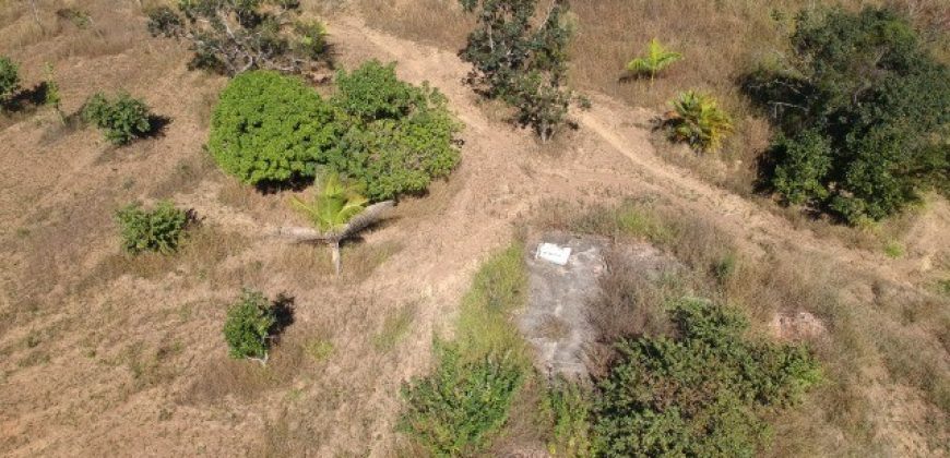 Maravilhosa Chácara com 7 Hectares, com Acesso ao Rio São Bartolomeu