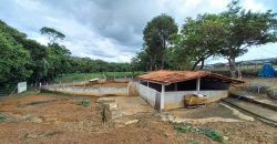 Maravilhosa Chácara com 2 hectares, com córrego, Piscina, Bem Localizada, no Bairro Capão Cumprido em São Sebastião/DF. – Aceita imóvel em São Sebastião.