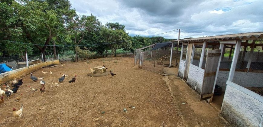 Maravilhosa Chácara com 2 hectares, com córrego, Piscina, Bem Localizada, no Bairro Capão Cumprido em São Sebastião/DF. – Aceita imóvel em São Sebastião.