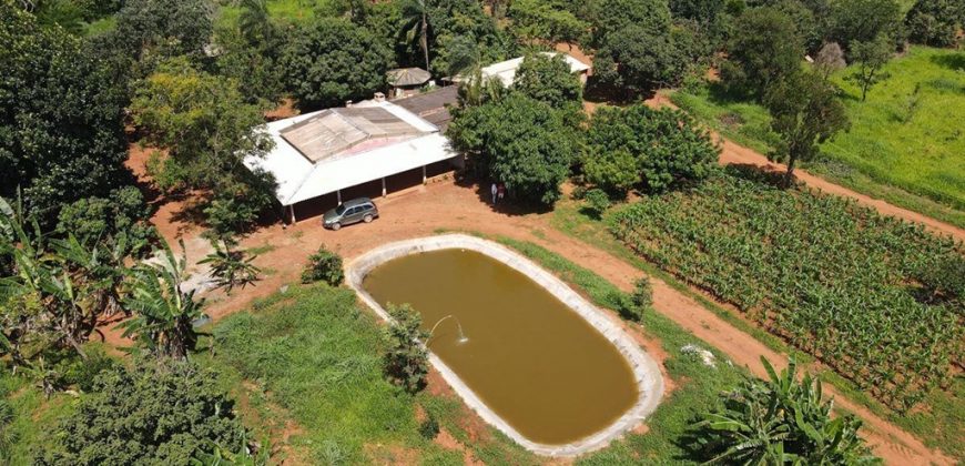 Excelente Chácara com 5 com 5.000 metros, localizada no Campão Cumprido, Perto da Principal, com fácil Acesso, em São Sebastião/df. Aceita troca.