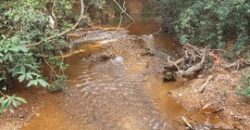 Excelente Chácara com 5,6 hectares, com córrego, Bem Localizada, no Cavas de Baixo, Perto da ponte do Rio São Bartolomeu em São Sebastião/DF.