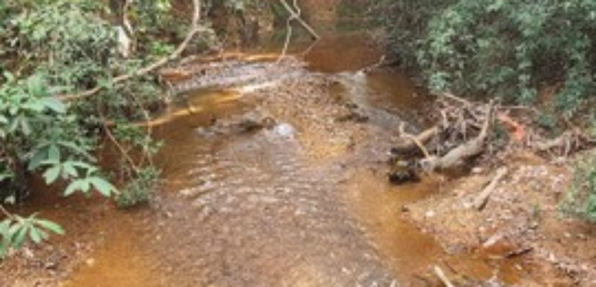 Excelente Chácara com 5,6 hectares, com córrego, Bem Localizada, no Cavas de Baixo, Perto da ponte do Rio São Bartolomeu em São Sebastião/DF.