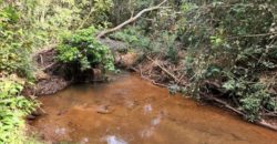 Excelente Chácara com 5,6 hectares, com córrego, Bem Localizada, no Cavas de Baixo, Perto da ponte do Rio São Bartolomeu em São Sebastião/DF.