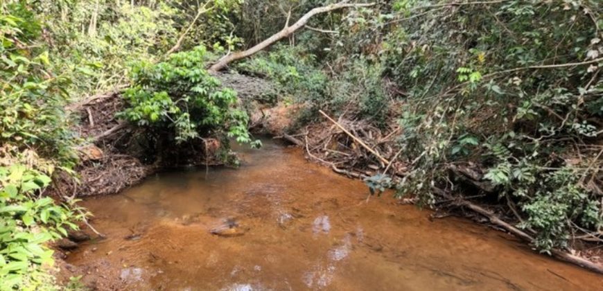 Excelente Chácara com 5,6 hectares, com córrego, Bem Localizada, no Cavas de Baixo, Perto da ponte do Rio São Bartolomeu em São Sebastião/DF.