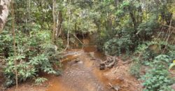 Excelente Chácara com 5,6 hectares, com córrego, Bem Localizada, no Cavas de Baixo, Perto da ponte do Rio São Bartolomeu em São Sebastião/DF.