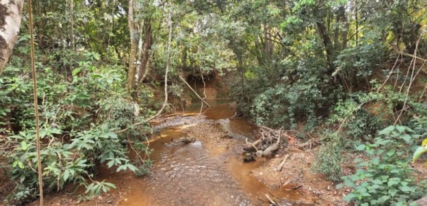 Excelente Chácara com 5,6 hectares, com córrego, Bem Localizada, no Cavas de Baixo, Perto da ponte do Rio São Bartolomeu em São Sebastião/DF.