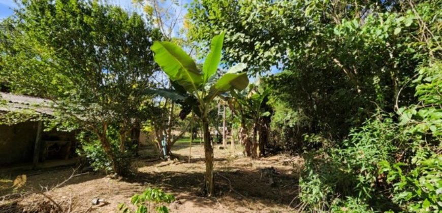 Excelente Chácara com 5,6 hectares, com córrego, Bem Localizada, no Cavas de Baixo, Perto da ponte do Rio São Bartolomeu em São Sebastião/DF.