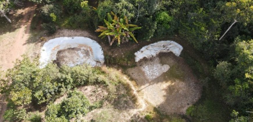 Excelente Chácara com 5,6 hectares, com córrego, Bem Localizada, no Cavas de Baixo, Perto da ponte do Rio São Bartolomeu em São Sebastião/DF.