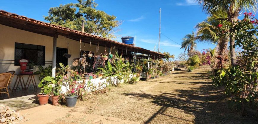 Excelente Chácara com 2 hectares, com córrego, Bem Localizada, na Região do Café sem Troco, no Paranoá DF.