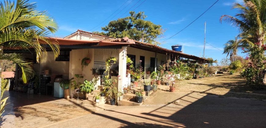 Excelente Chácara com 2 hectares, com córrego, Bem Localizada, na Região do Café sem Troco, no Paranoá DF.