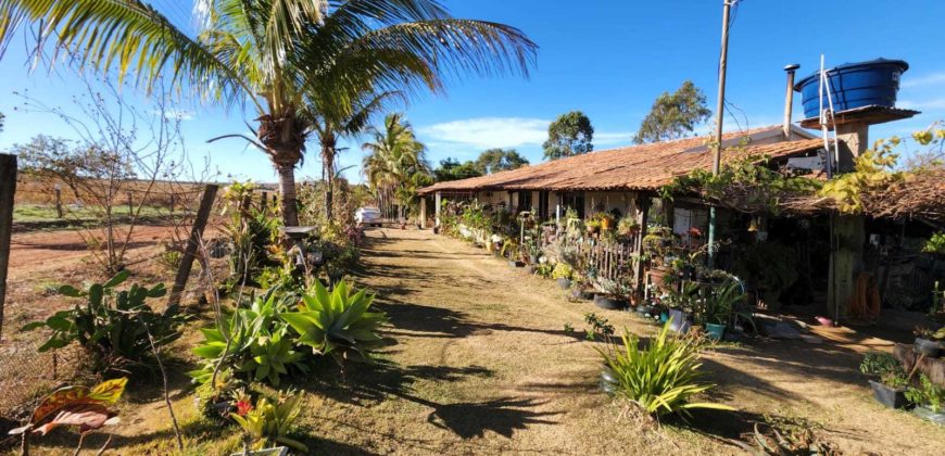 Excelente Chácara com 2 hectares, com córrego, Bem Localizada, na Região do Café sem Troco, no Paranoá DF.