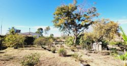 Excelente Chácara com 2 hectares, com córrego, Bem Localizada, na Região do Café sem Troco, no Paranoá DF.