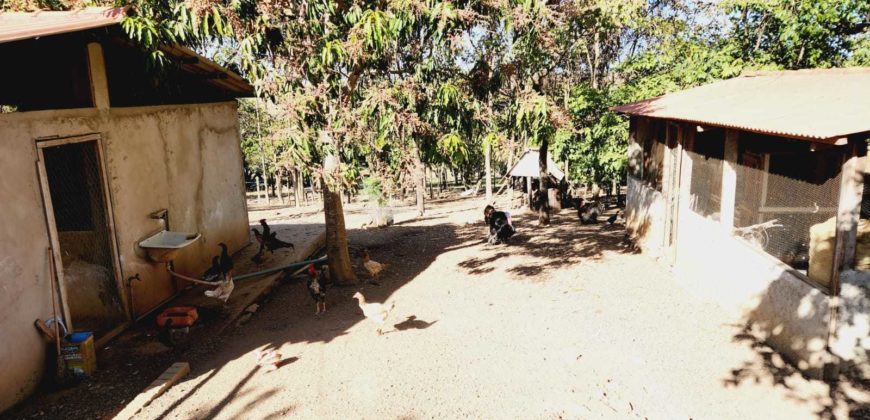 Excelente Chácara com 2 hectares, com córrego, Bem Localizada, na Região do Café sem Troco, no Paranoá DF.