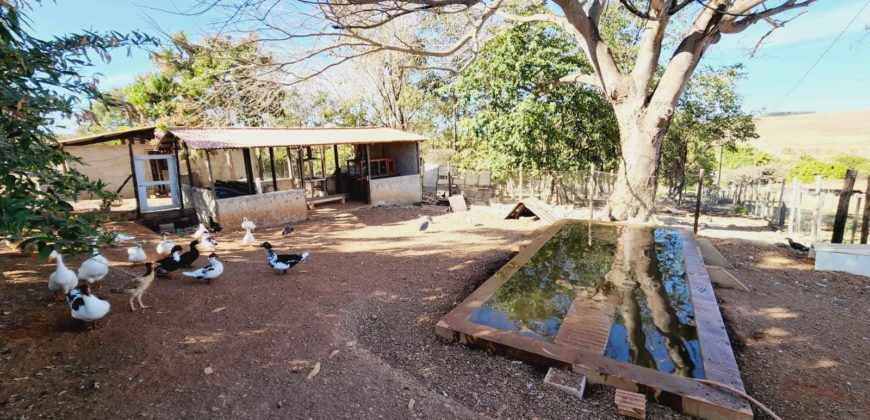 Excelente Chácara com 2 hectares, com córrego, Bem Localizada, na Região do Café sem Troco, no Paranoá DF.