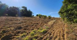 Excelente Chácara com 2 hectares, com córrego, Bem Localizada, na Região do Café sem Troco, no Paranoá DF.