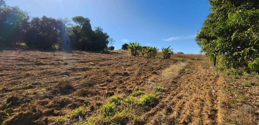 Excelente Chácara com 2 hectares, com córrego, Bem Localizada, na Região do Café sem Troco, no Paranoá DF.