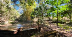 Excelente Chácara com 2 hectares, com córrego, Bem Localizada, na Região do Café sem Troco, no Paranoá DF.