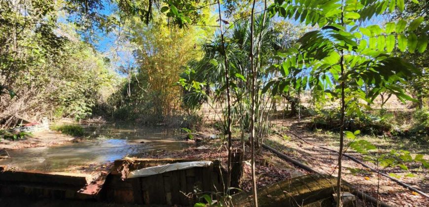 Excelente Chácara com 2 hectares, com córrego, Bem Localizada, na Região do Café sem Troco, no Paranoá DF.