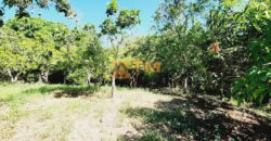 Excelente Chácara com 4.7 hectares, com córrego, bem Localizada, em Cavas de Baixo, em São Sebastião/DF. – aceita troca