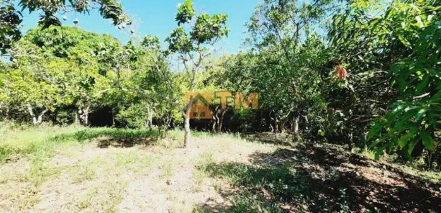 Excelente Chácara com 4.7 hectares, com córrego, bem Localizada, em Cavas de Baixo, em São Sebastião/DF. – aceita troca