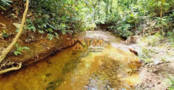 Excelente Chácara com 4.7 hectares, com córrego, bem Localizada, em Cavas de Baixo, em São Sebastião/DF. – aceita troca