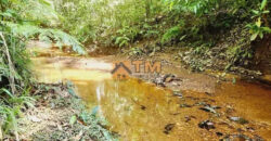 Excelente Chácara com 4.7 hectares, com córrego, bem Localizada, em Cavas de Baixo, em São Sebastião/DF. – aceita troca