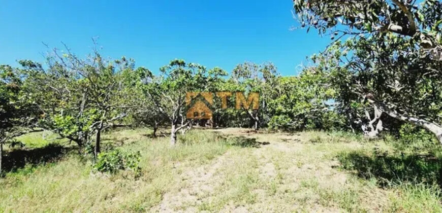 Excelente Chácara com 4.7 hectares, com córrego, bem Localizada, em Cavas de Baixo, em São Sebastião/DF. – aceita troca