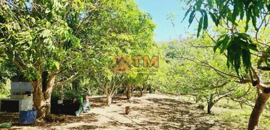 Excelente Chácara com 4.7 hectares, com córrego, bem Localizada, em Cavas de Baixo, em São Sebastião/DF. – aceita troca