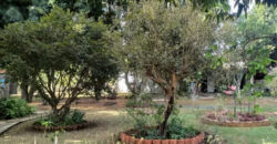 MARAVILHOSA CHÁCARA EM SÃO SEBASTIÃO DF. SÃO DUAS CASAS EM UM TERRENO DE 5.000 METROS QUADRADOS.