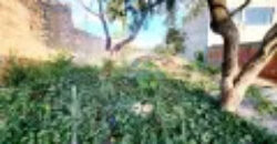 LOTE PLANO COM 200 METROS