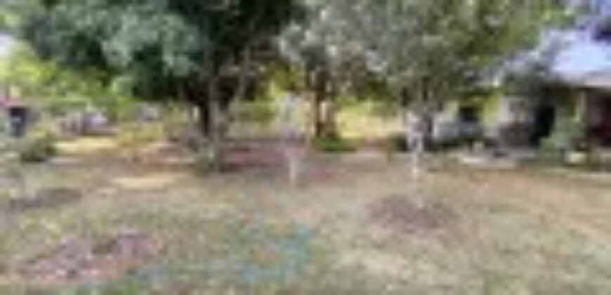 MARAVILHOSA CHÁCARA EM SÃO SEBASTIÃO DF. SÃO DUAS CASAS EM UM TERRENO DE 5.000 METROS QUADRADOS.