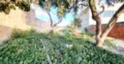 LOTE PLANO COM 200 METROS