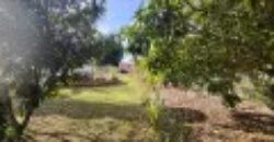 MARAVILHOSA CHÁCARA EM SÃO SEBASTIÃO DF. SÃO DUAS CASAS EM UM TERRENO DE 5.000 METROS QUADRADOS.