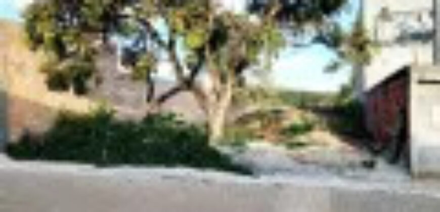 LOTE PLANO COM 200 METROS