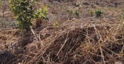 EXCELENTE LOTE, COM 400 METROS, NO CONDOMINIO SOLARIS, JARDIM BOTANICO/DF.