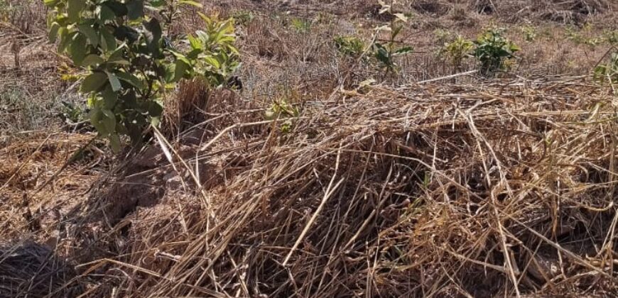 EXCELENTE LOTE, COM 400 METROS, NO CONDOMINIO SOLARIS, JARDIM BOTANICO/DF.