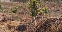 EXCELENTE LOTE, COM 400 METROS, NO CONDOMINIO SOLARIS, JARDIM BOTANICO/DF.