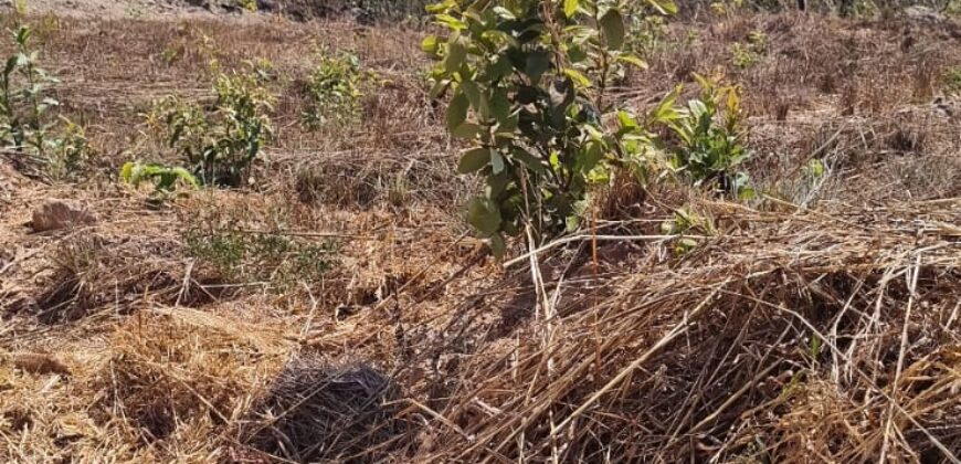 EXCELENTE LOTE, COM 400 METROS, NO CONDOMINIO SOLARIS, JARDIM BOTANICO/DF.