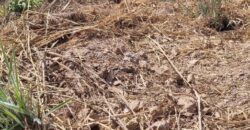 EXCELENTE LOTE, COM 400 METROS, NO CONDOMINIO SOLARIS, JARDIM BOTANICO/DF.