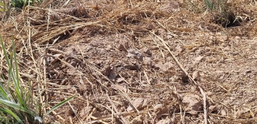 EXCELENTE LOTE, COM 400 METROS, NO CONDOMINIO SOLARIS, JARDIM BOTANICO/DF.