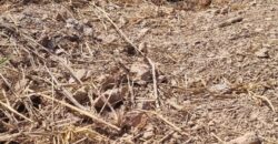 EXCELENTE LOTE, COM 400 METROS, NO CONDOMINIO SOLARIS, JARDIM BOTANICO/DF.