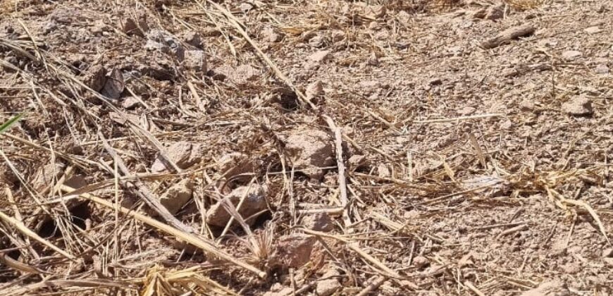 EXCELENTE LOTE, COM 400 METROS, NO CONDOMINIO SOLARIS, JARDIM BOTANICO/DF.