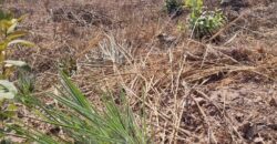 EXCELENTE LOTE, COM 400 METROS, NO CONDOMINIO SOLARIS, JARDIM BOTANICO/DF.