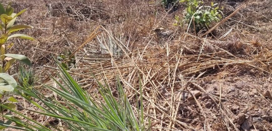 EXCELENTE LOTE, COM 400 METROS, NO CONDOMINIO SOLARIS, JARDIM BOTANICO/DF.