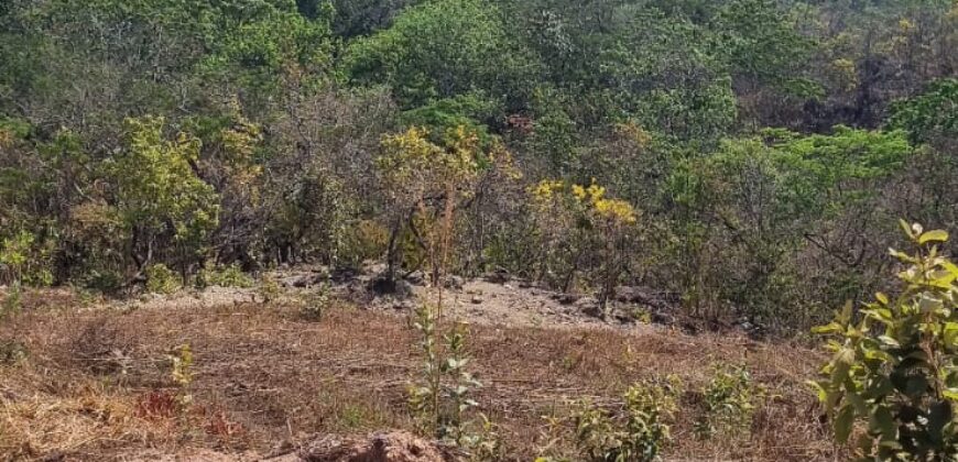 EXCELENTE LOTE, COM 400 METROS, NO CONDOMINIO SOLARIS, JARDIM BOTANICO/DF.