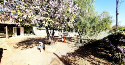 Para quem buscar lugar tranquilo, em contato com a natureza, local para plantar, morar em uma área totalmente fechada, com fácil acesso, em Nova Betânia.